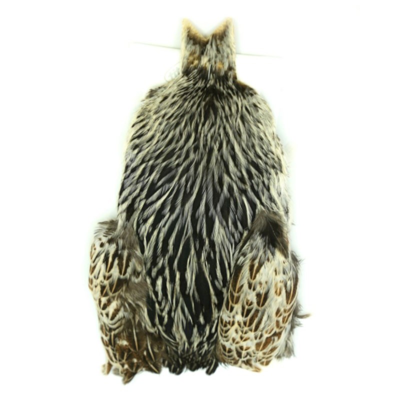 Whiting 4 B's Hen Cape Unique Variant-51937