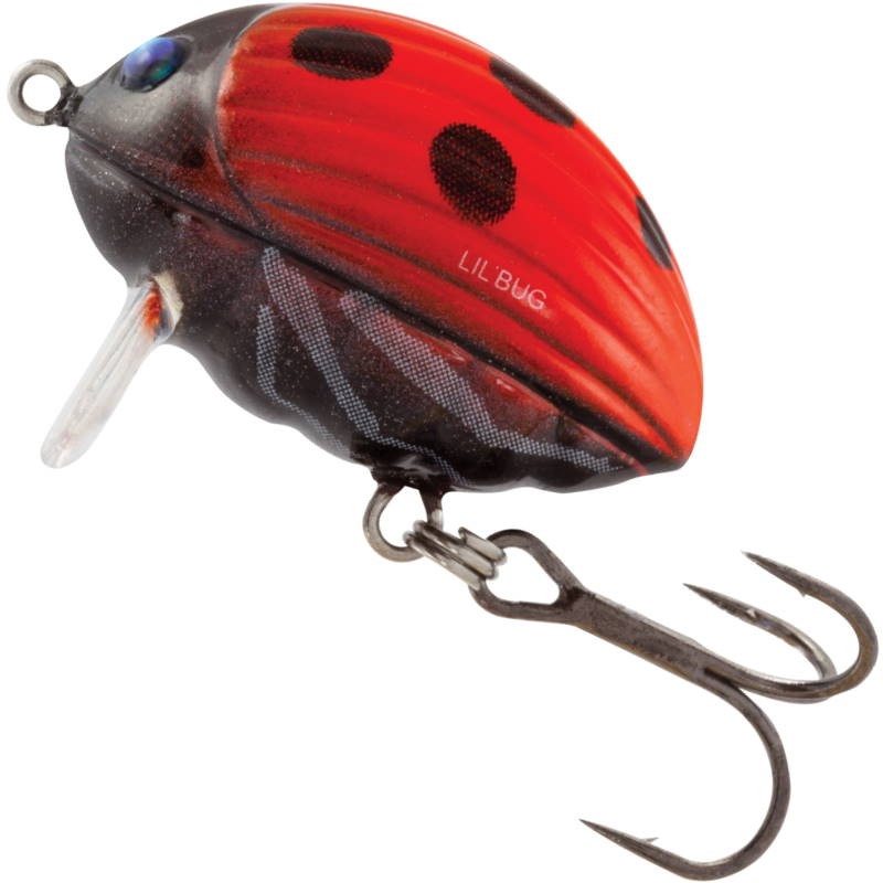 Salmo Wobler Lil' Bug F Ladybird 2cm-26594