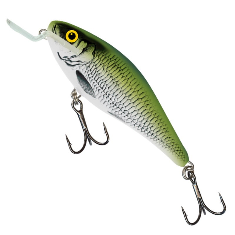 Salmo Wobler Executor SR F Olive Bleak 5cm-37550