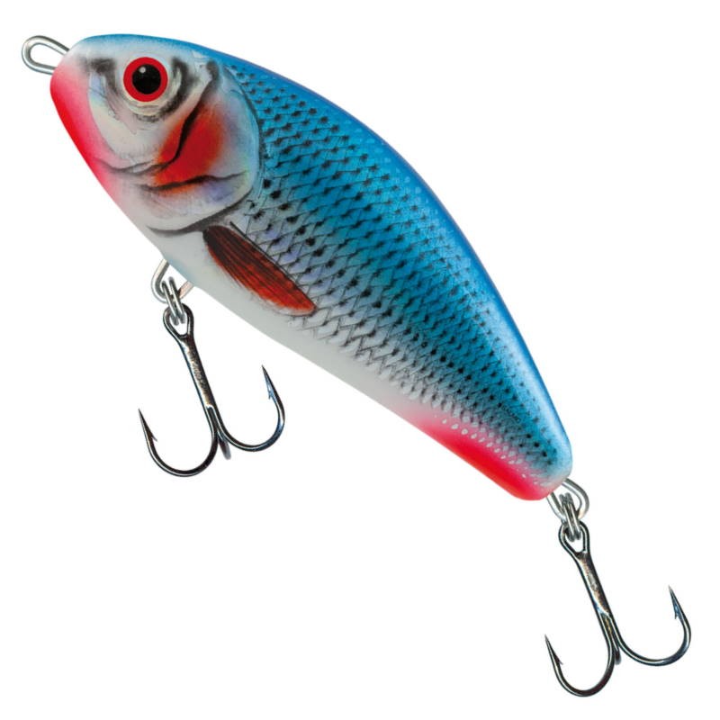 Salmo Wobler Fatso F Bleeding Blue Shad 10cm-27966