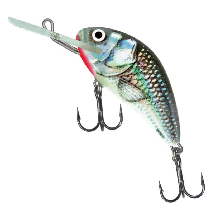 Salmo Wobler Hornet S Holo Grey Shiner 6cm-21325