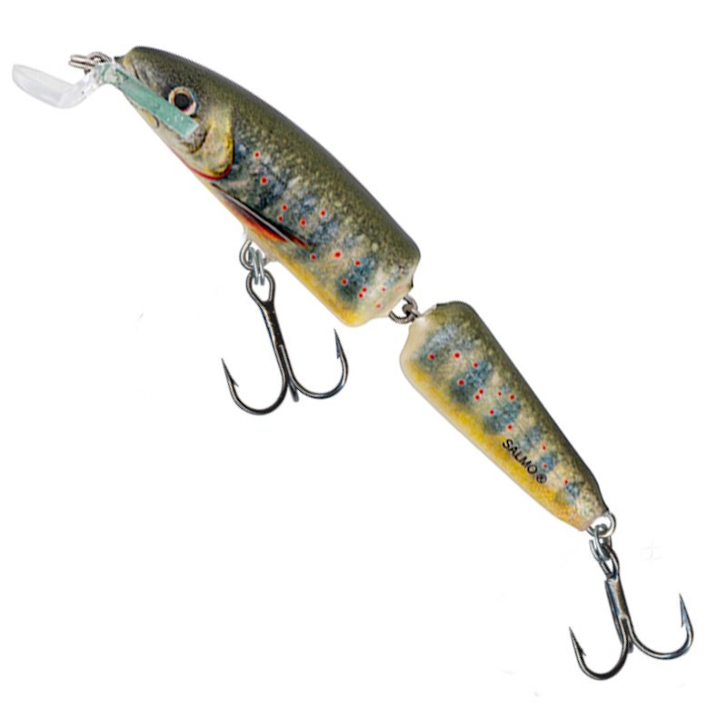 Salmo Wobler Fanatic F Holo Lake Charr 7cm-57088