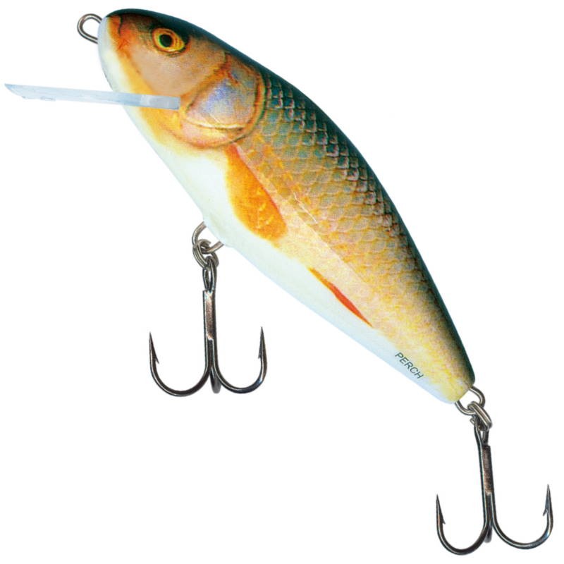 Salmo Wobler Perch F Real Roach 8cm-21469