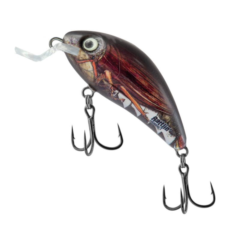 Salmo Wobler Rattlin'Hornet SR Real Cockchafer 4.5-21509
