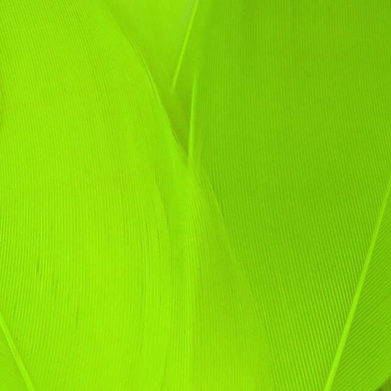 Hareline Select Goose Shoulder Chartreuse-66451