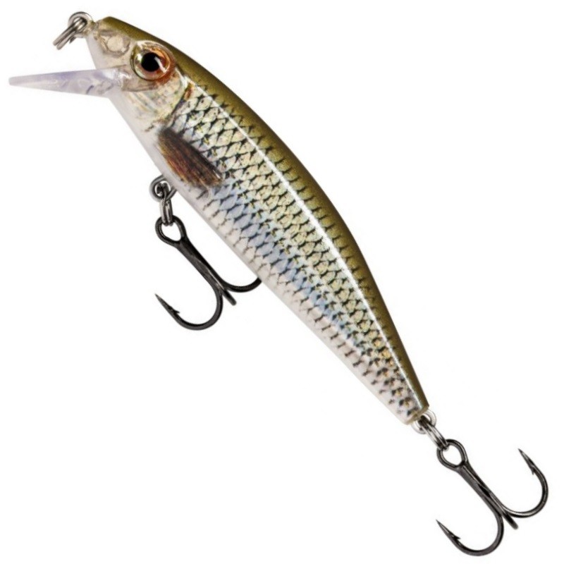 Rapala X-Rap Countdown Live Roach 7cm-65195