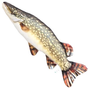 Gaby poduszka szczupak rzeczny 90cm