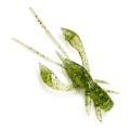Fishup Real Craw 1.5" #042 Watermelon Seed 10szt-67749