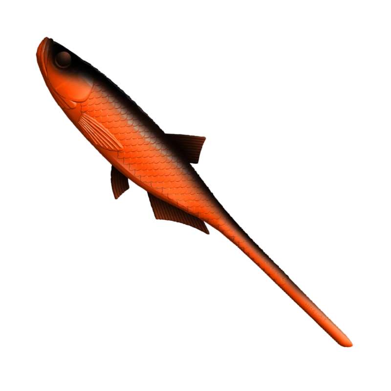 Libra Lures Bleak Slug Tail Hot Orange 21cm-69053