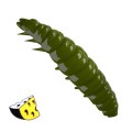 Libra Lures Larva 031 Olive Ser 4.5cm -69944