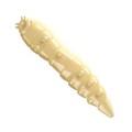 Libra Lures Kukolka 005 Cheese Ser 2.7cm -69321
