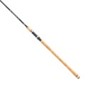 Daiwa Wędka Exceler Traditional Spin 3.15m 15-40g-54296
