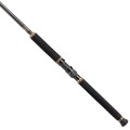 Penn Wędka Regiment II Tuna 2.54m 80lb -31975