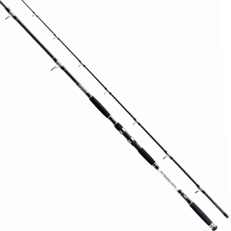 Jaxon Wędka Intensa GTX Catfish Spin 2.7m 120g-30874