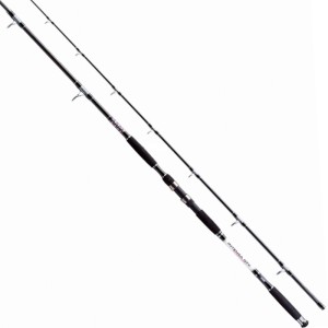 Jaxon Wędka Intensa GTX Catfish Spin 2.7m 120g