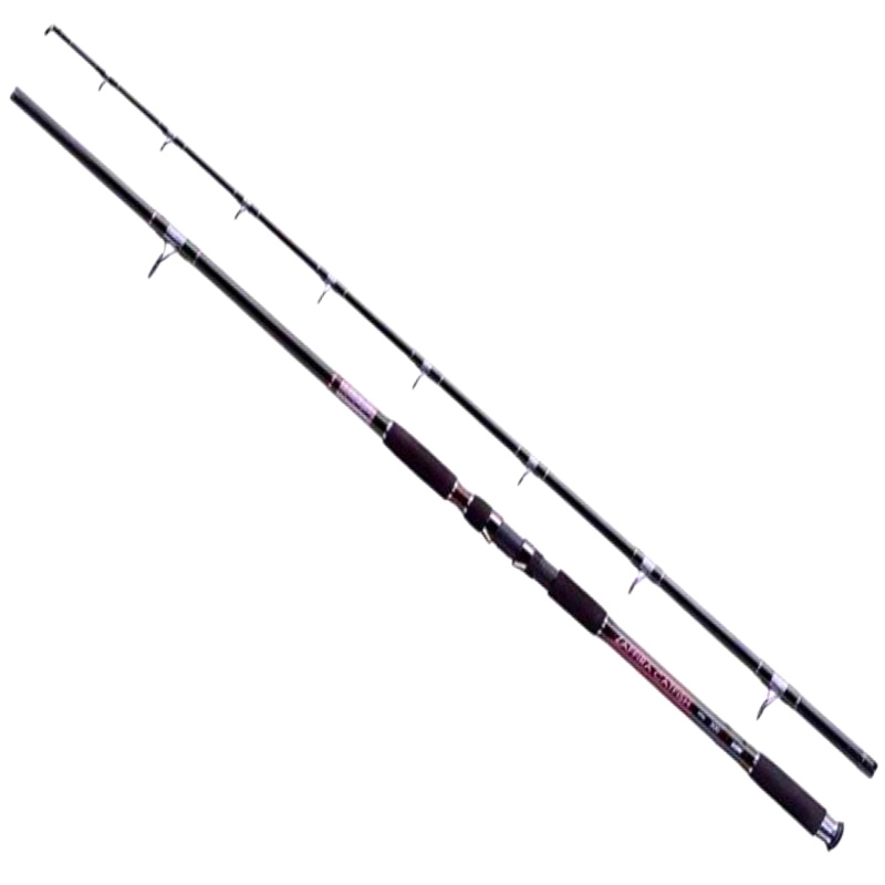 Jaxon Wędka Zaffira Catfish 3m 400g-30893