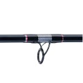 Jaxon Wędka Zaffira Catfish 3m 400g-30894