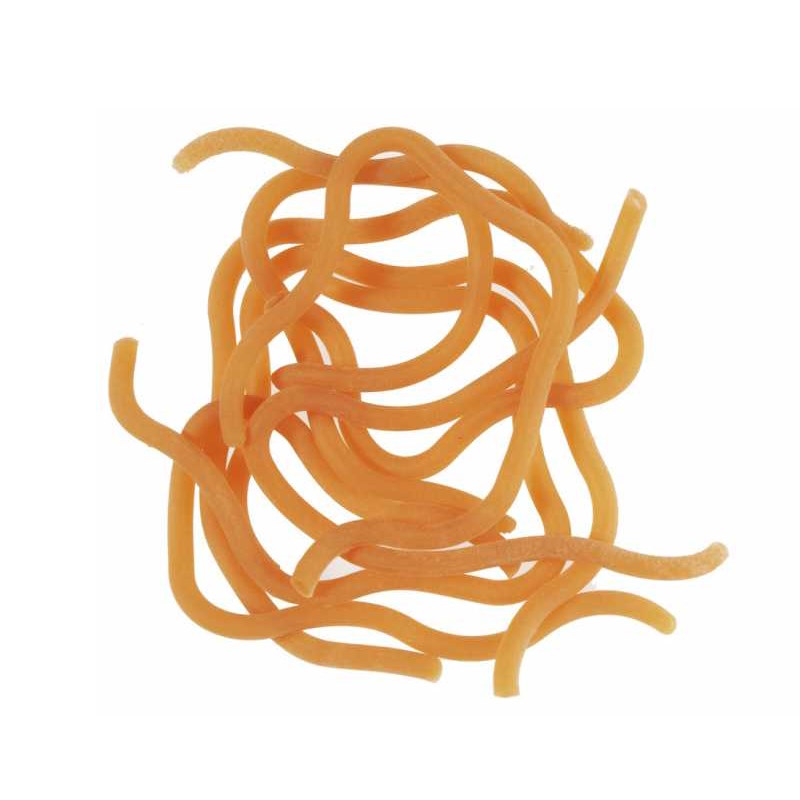 Soldarini Squirmy Body 05 Earthworm-52662