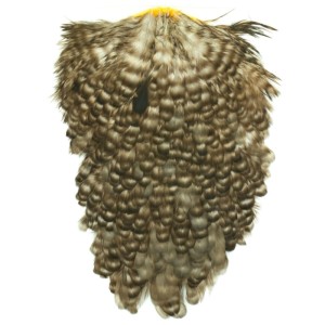 Whiting 4 B's Hen Saddle Dun Grizzly