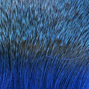 Hareline Dyed Deer Body Hair Blue #23