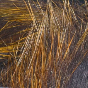 Hareline Frostip Rabbit Strips #4 Black/Orange