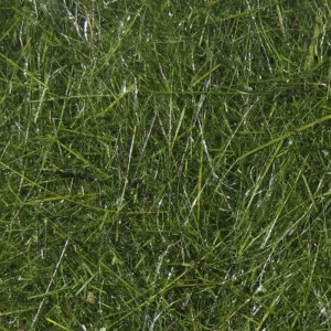 Hareline Hare's Ear Plus Dubbing Dark Olive