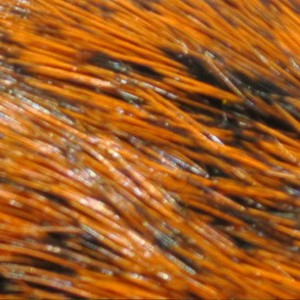 Hareline Dyed Grade#1 Hare's Mask #322 Rust