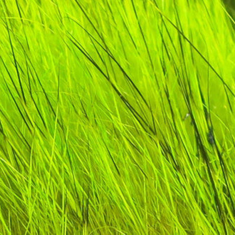 Hareline Dyed Grade#1 Hare's Mask #49 Caddis Green-23840