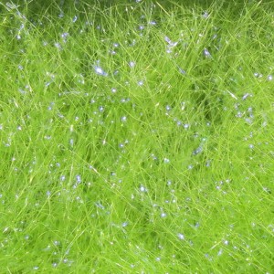 Hareline Ice Dub #212 UV Light Olive