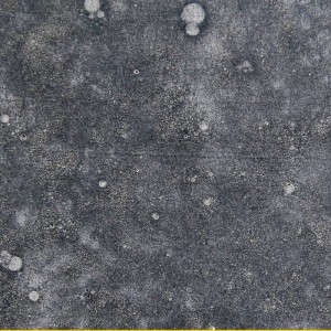 Hareline Kiley's Exo Skin #165 Grey Holo