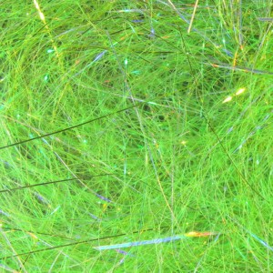 Hareline Lite-Brite #393 Shimmering Chartr. Blend