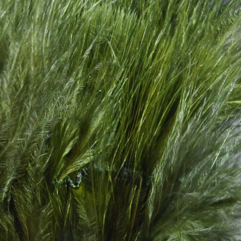 Hareline Marabou Blood Quills #95 Dark Olive-24131