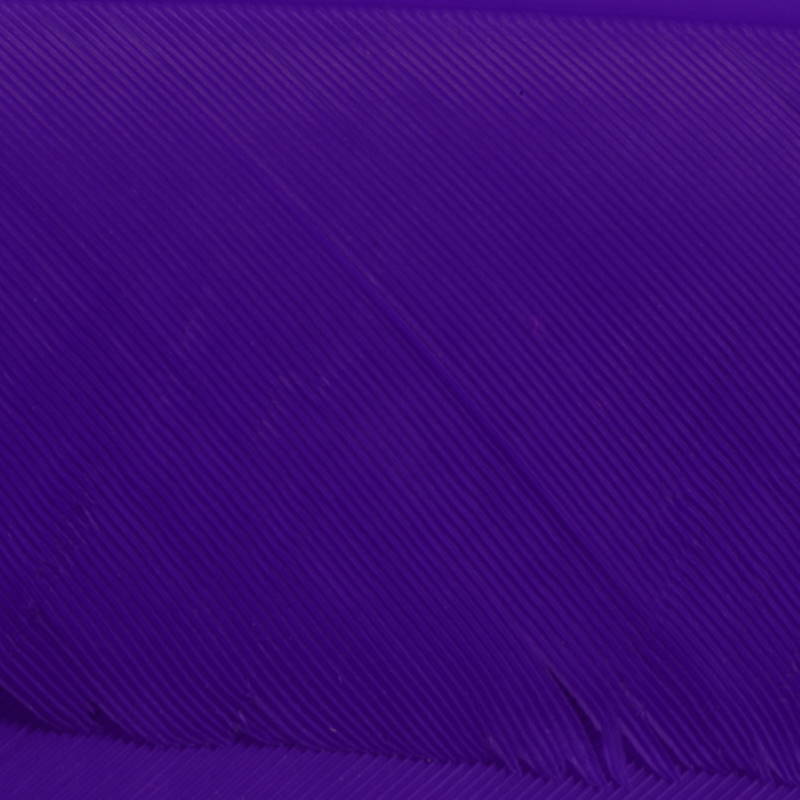 Hareline Turkey Biot Quills #298 Purple-24411
