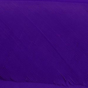 Hareline Turkey Biot Quills #298 Purple