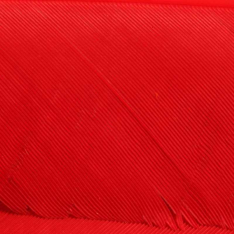 Hareline Turkey Biot Quills #310 Red-24410