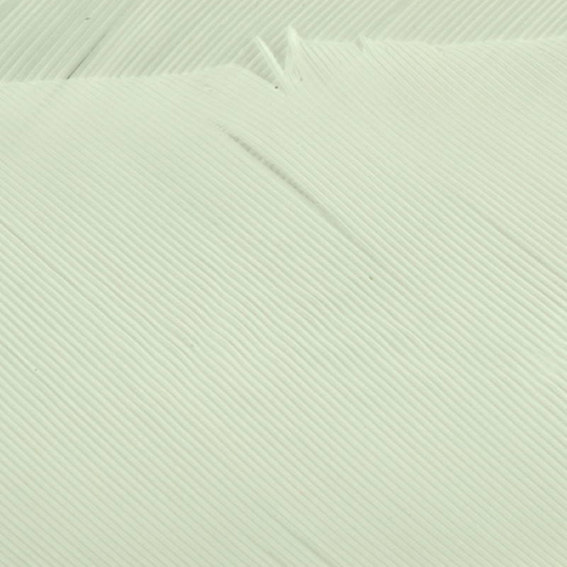 Hareline Turkey Biot Quills #377 White-24407