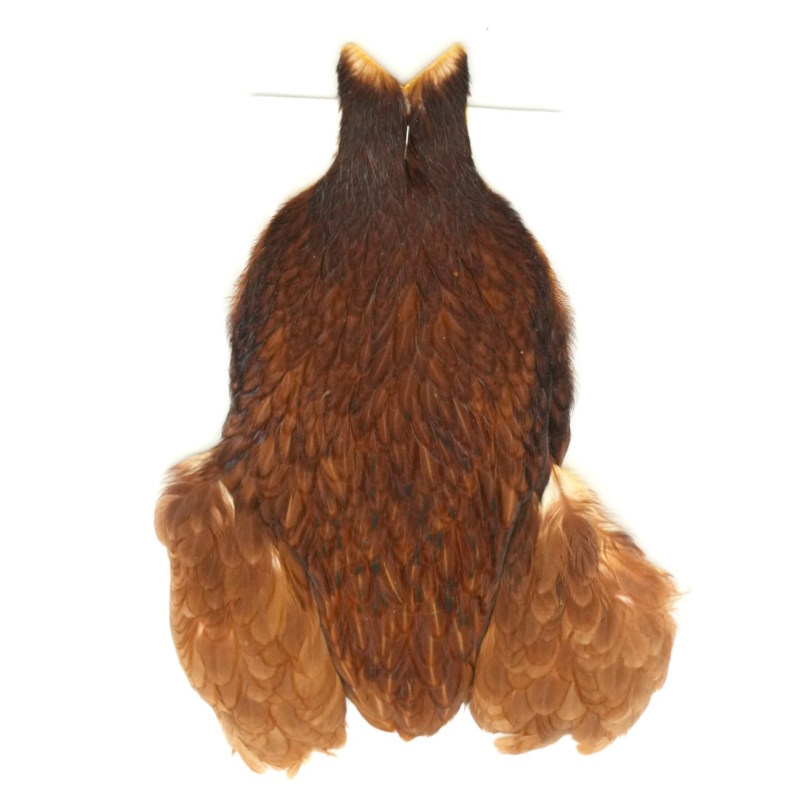 Whiting 4 B's Hen Cape Brown-51939