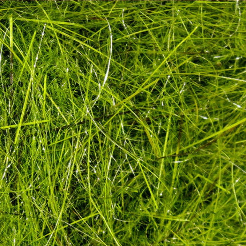 Hareline Hare's Ear Plus Dubbing Olive-23812