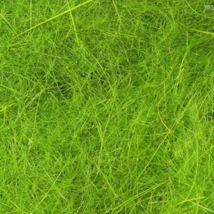 Hareline Dubbin #14 Caddis Green