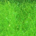 Hareline Ice Dub #49 Caddis Green-23925