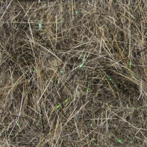 Hareline Krystal Dub #94 Dark Hare's Ear