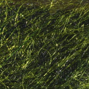 Hareline Lightnin Dub #031 Dark Olive