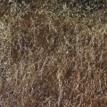 Hareline Nymph Blend Dubbing #016 Dark Hare's Ear-24068
