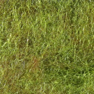 Hareline Nymph Blend Dubbing #033 Light Olive