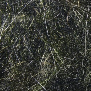 Hareline Squirrel Blend #175 Yellow Black