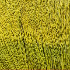 Hareline Dyed Deer Body Hair Yellow #383