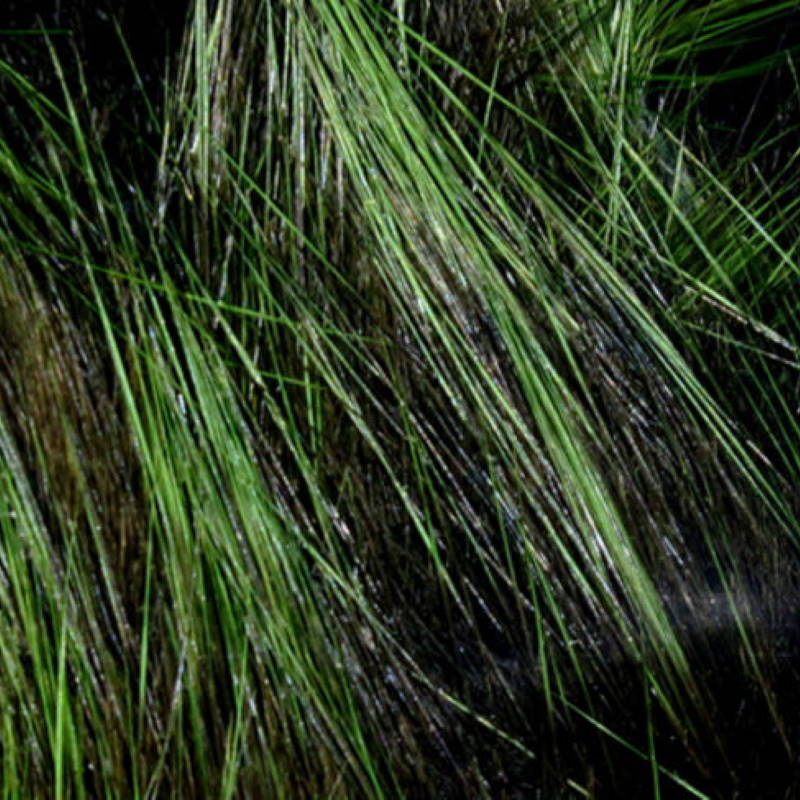 Hareline Frostip Rabbit Strips #3 Black/Olive-23737