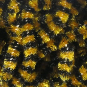 Hareline Stonefly Chenille #5 Black Ginger