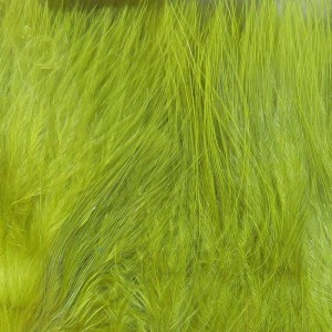 Hareline Marabou Blood Quills #159 Gold Olive