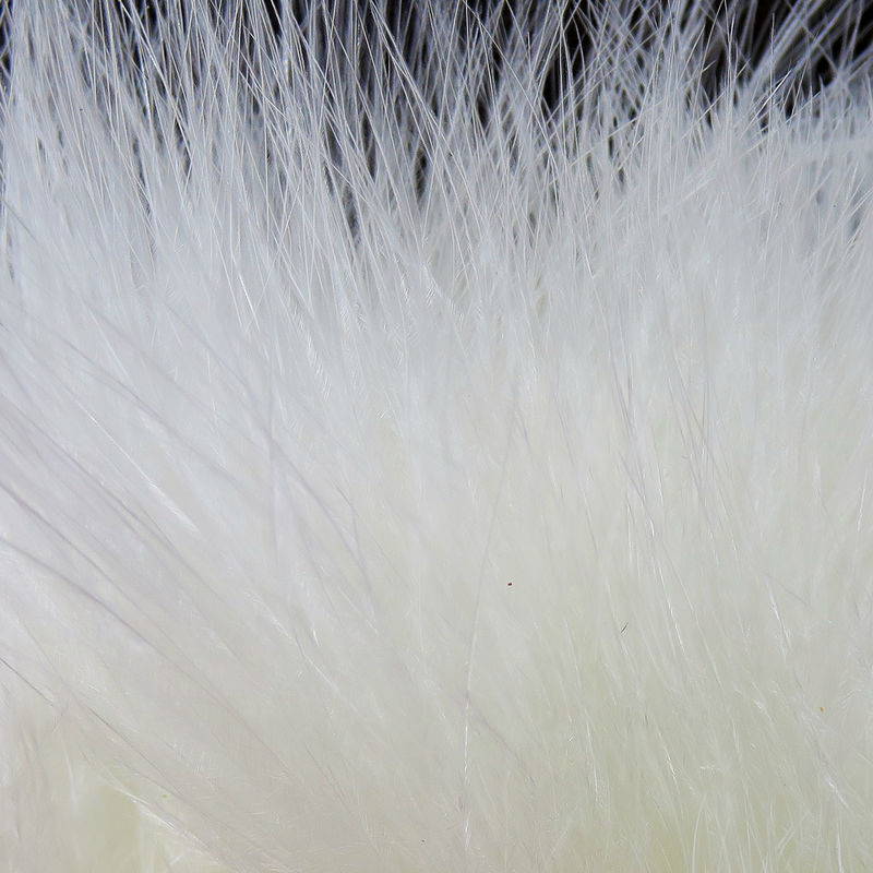Hareline Marabou Blood Quills #377 White-24123